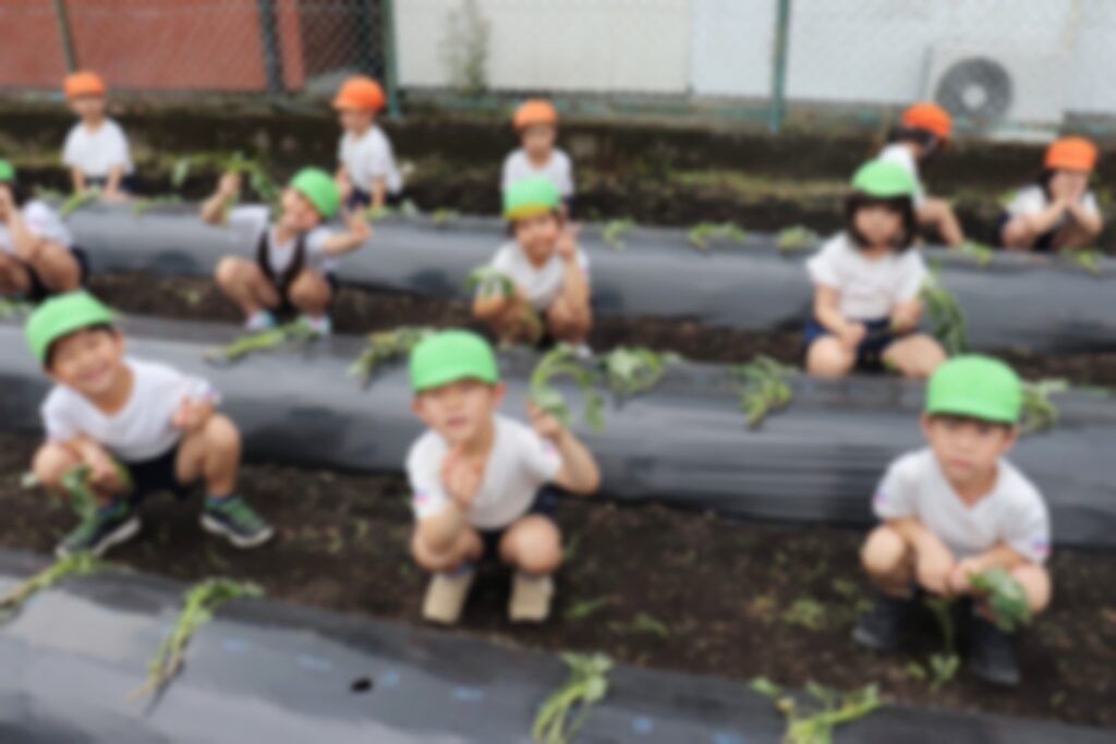 芋の苗を持つすみれさん