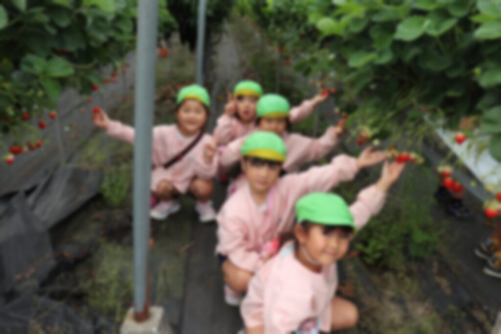 いちご狩りをするすみれさんたち①