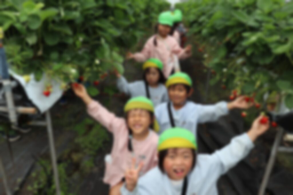 いちご狩りをするすみれさんたち②